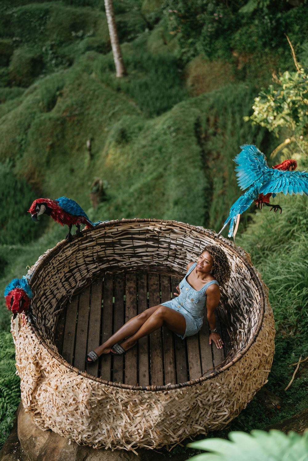 Colorful macaws perch near a large woven nest structure in a lush tropical setting.