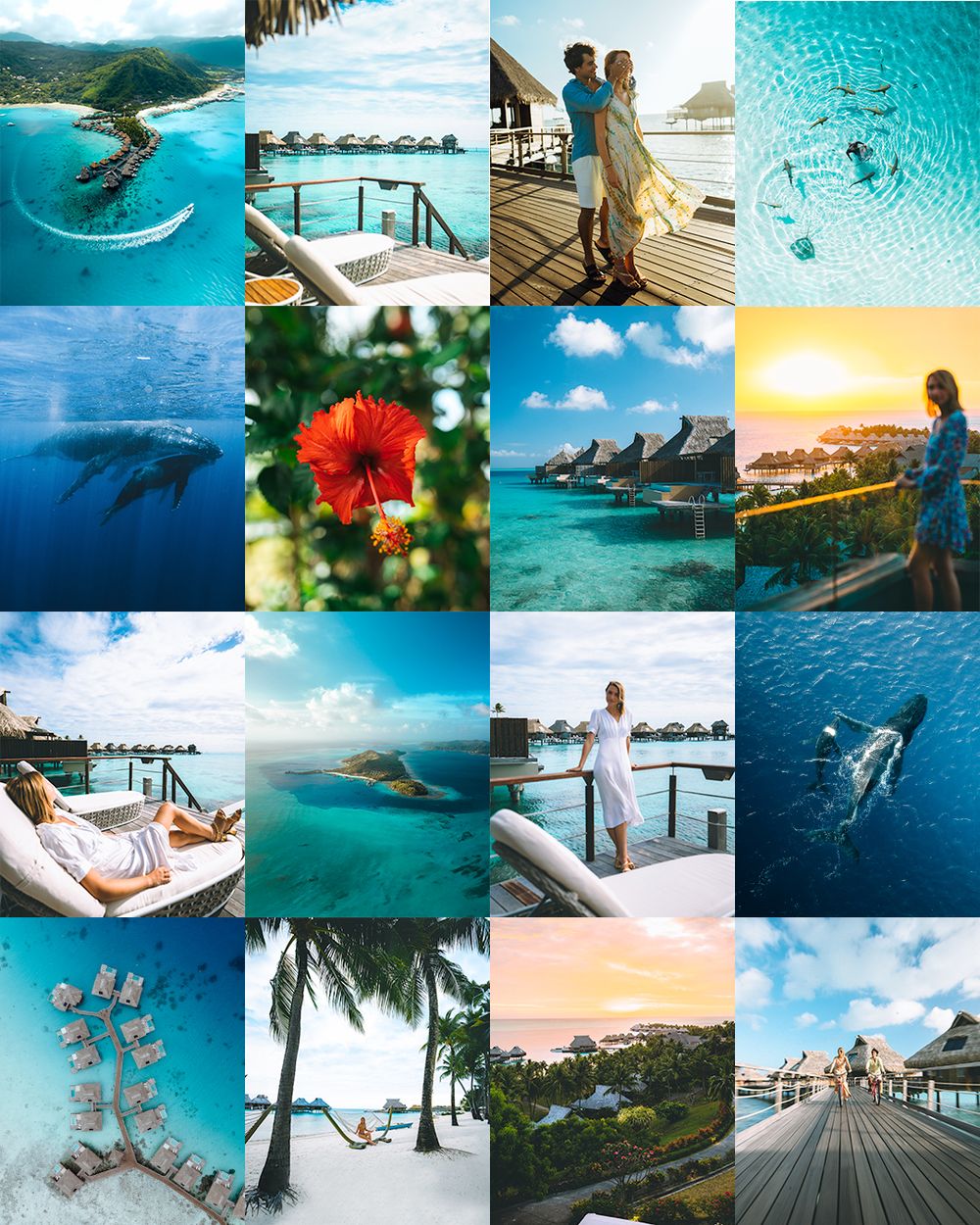 A vibrant collage of tropical beach and ocean scenes featuring turquoise waters, overwater bungalows, and underwater marine life.