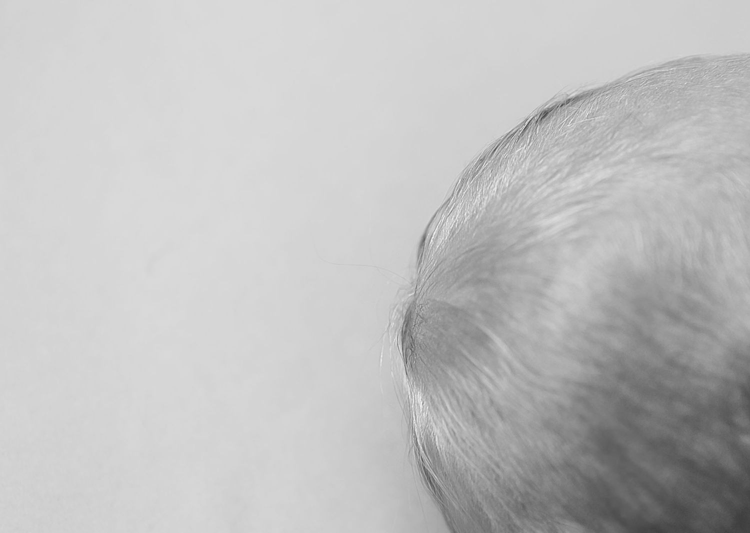 Orlando Newborn Photography, Sanford Newborn Photographer, 21 Moments Photography