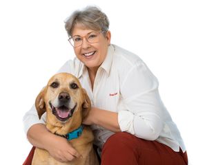 Three happy dogs sit with their owners in a cheerful portrait against a white background.