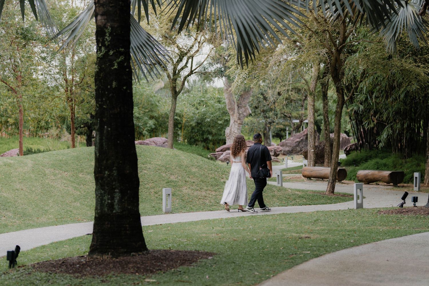 Palm trees line a winding path through a peaceful park landscape.