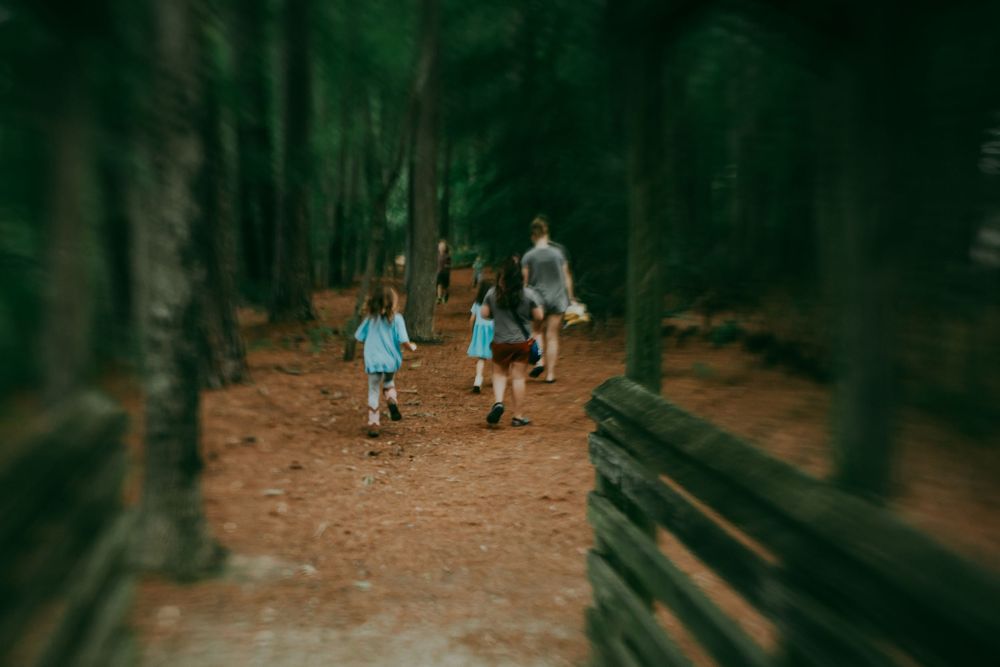Hikers walk along a wooden boardwalk trail through a dense forest of tall pine trees. Whitney Popp, Arizona photographer.