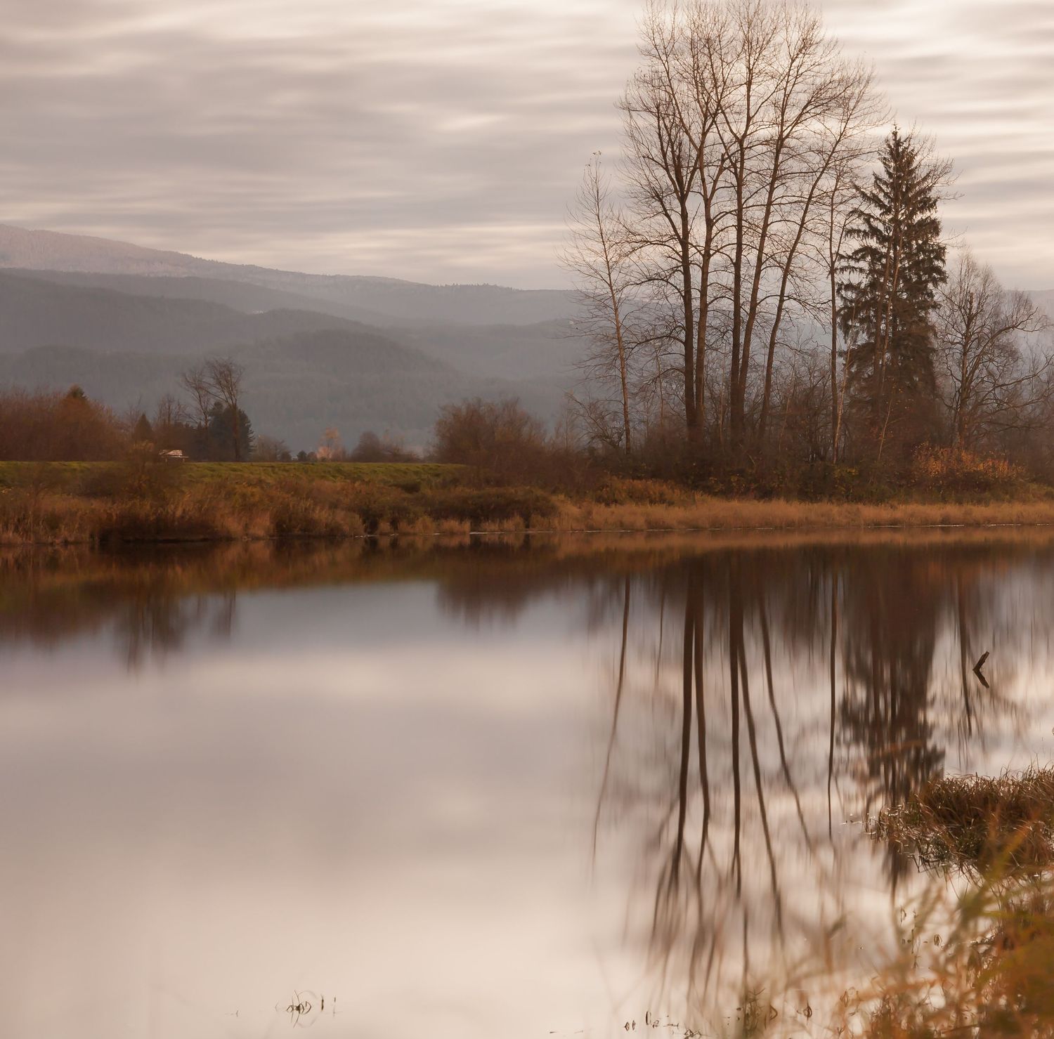 Alouette River, Pitt Meadows, British Columbia