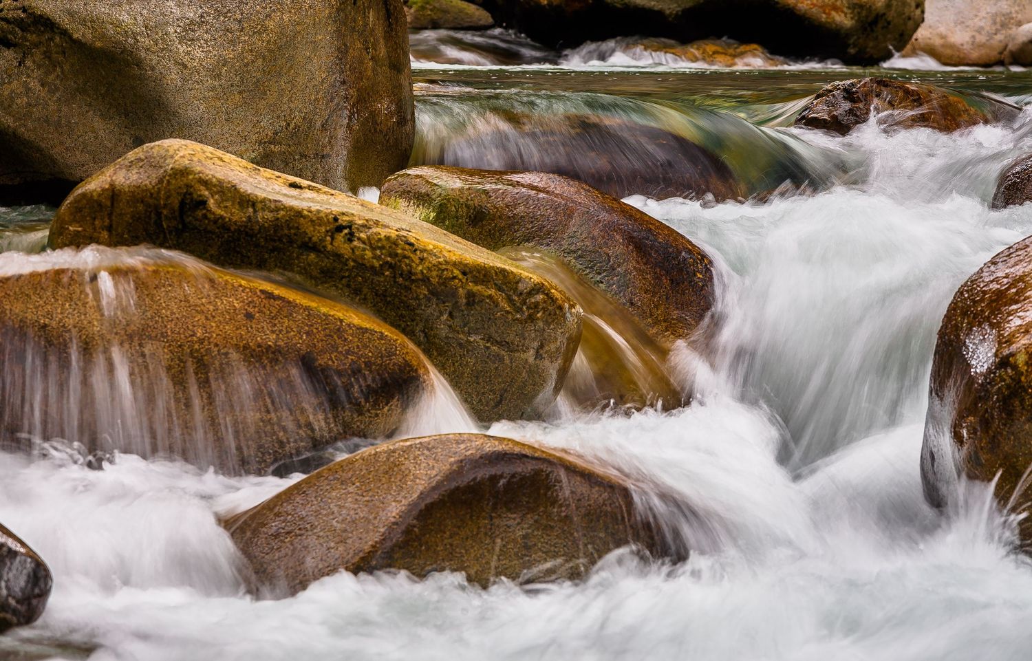 Lynn Creek, Lynn Canyon, North Vancouver
