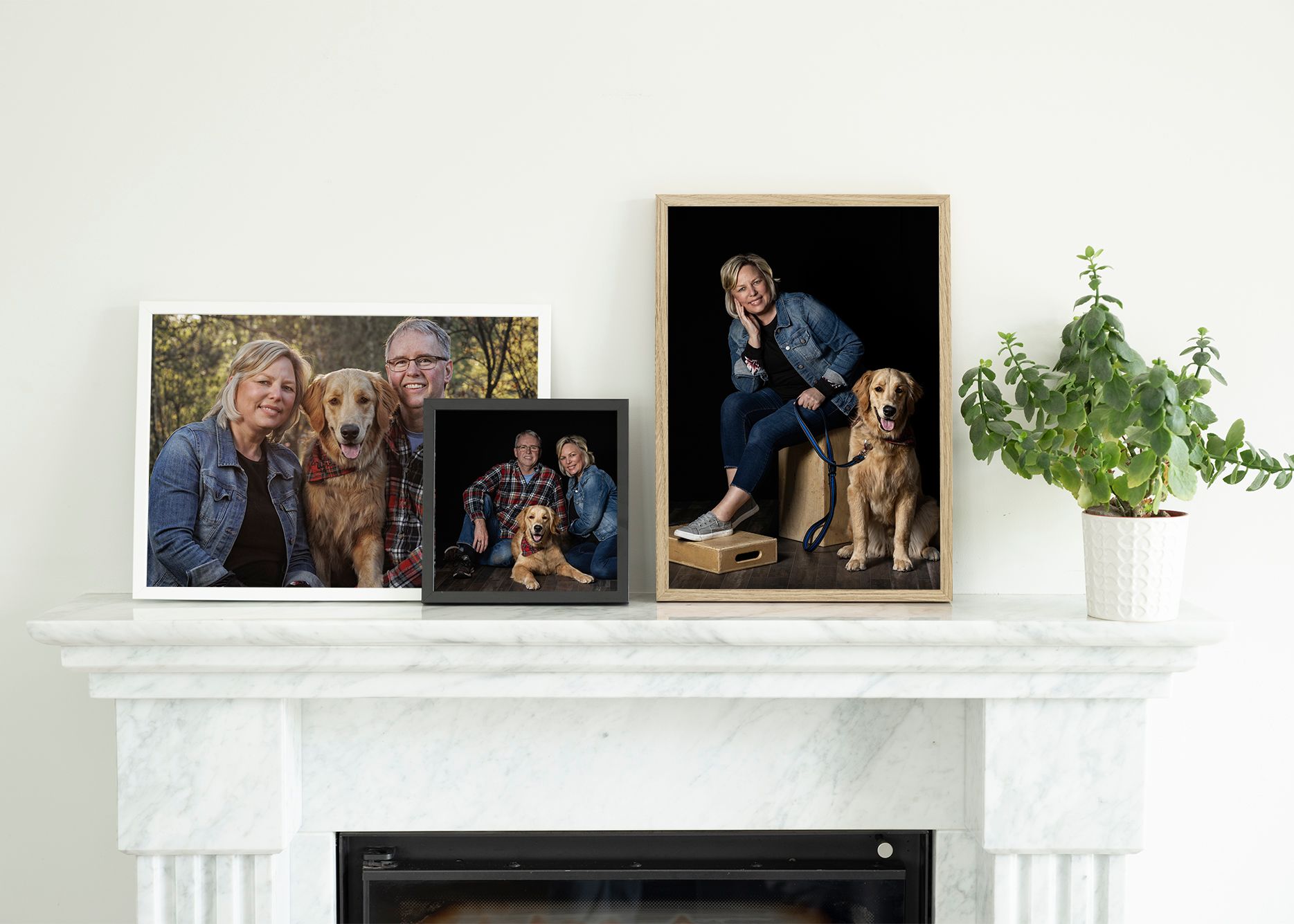 Three framed family photo portraits displayed on a white fireplace mantel with a decorative green potted plant.