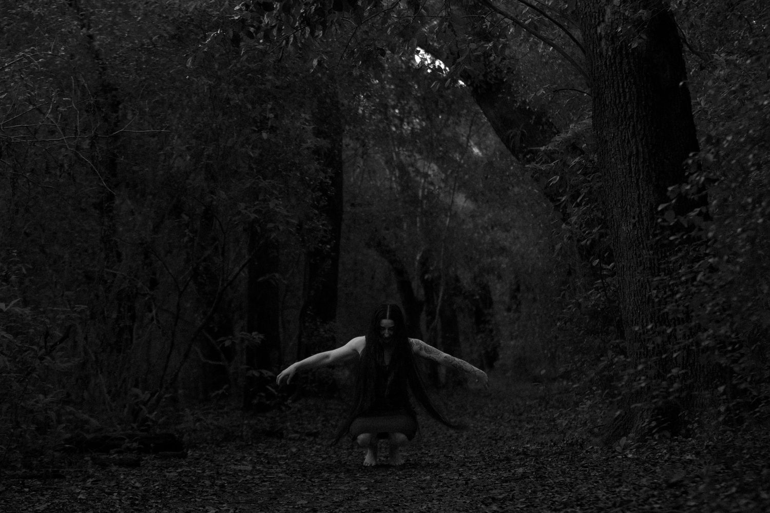 A dark and moody forest scene with silhouetted trees and branches against a misty background.