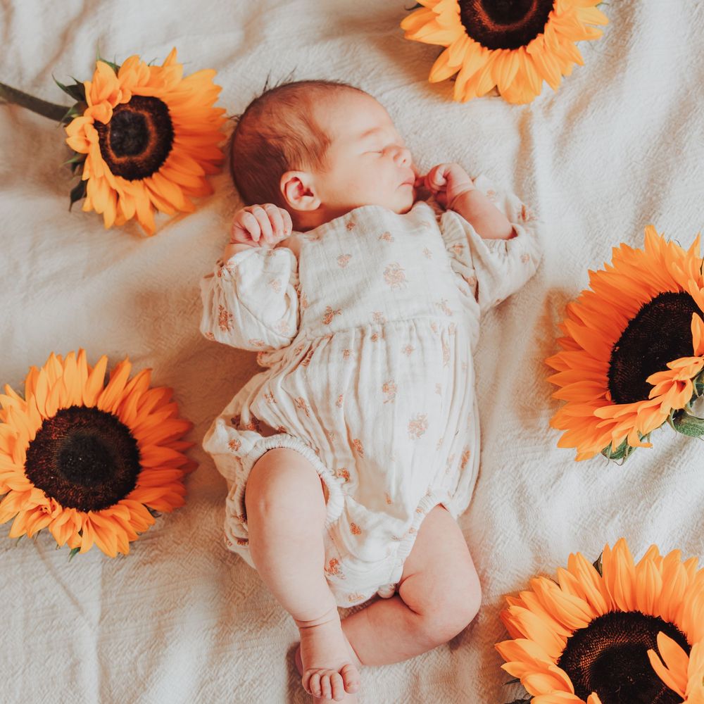 newborn baby lying down surrounded by sunflowers