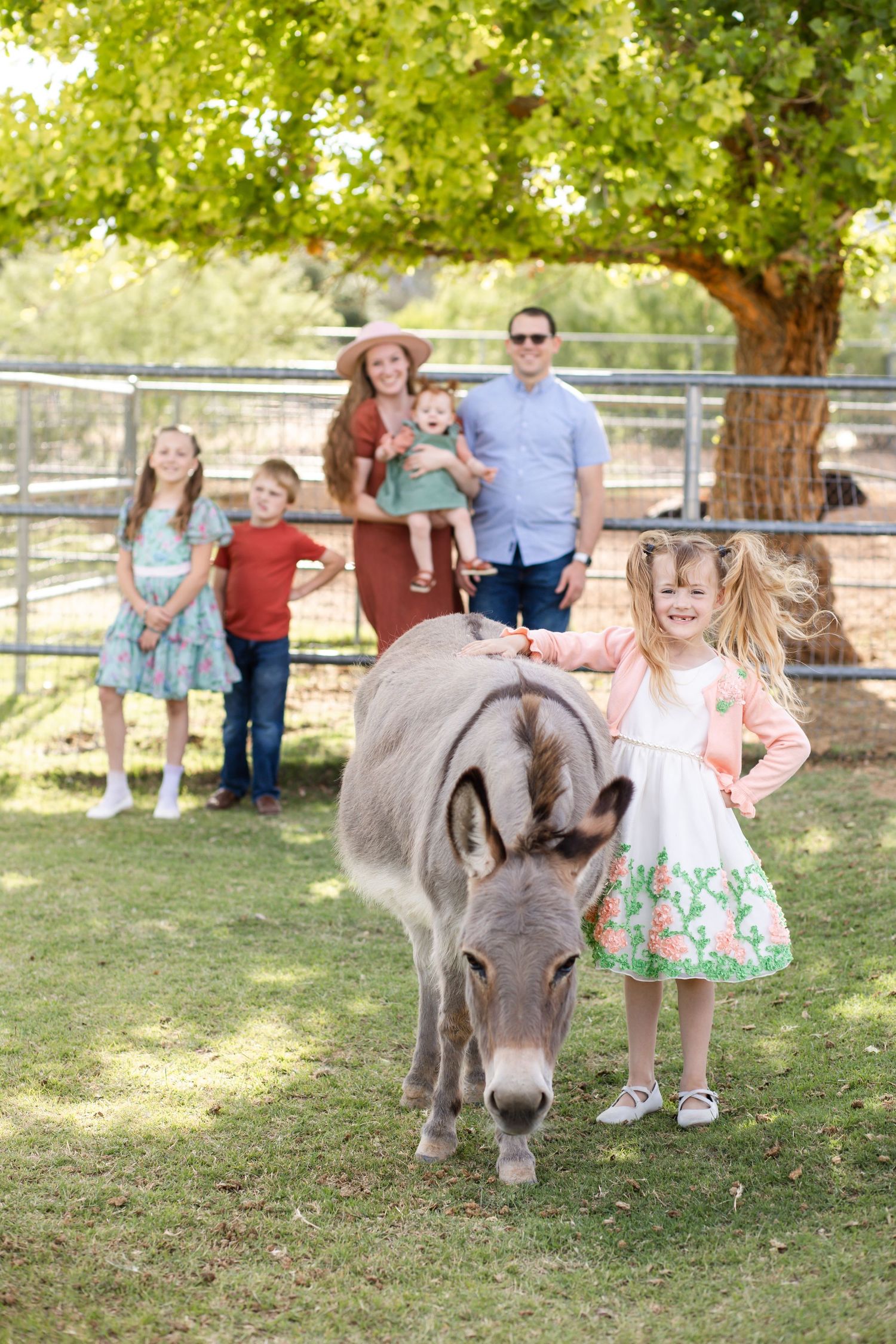 Young girl petting a donkey at a farm while her family watches in the background under a green tree.