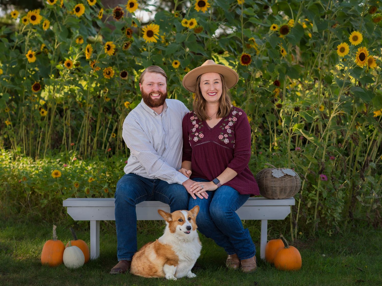 Couple sits on wooden bench surrounded by vibrant sunflowers and pumpkins with their corgi dog.