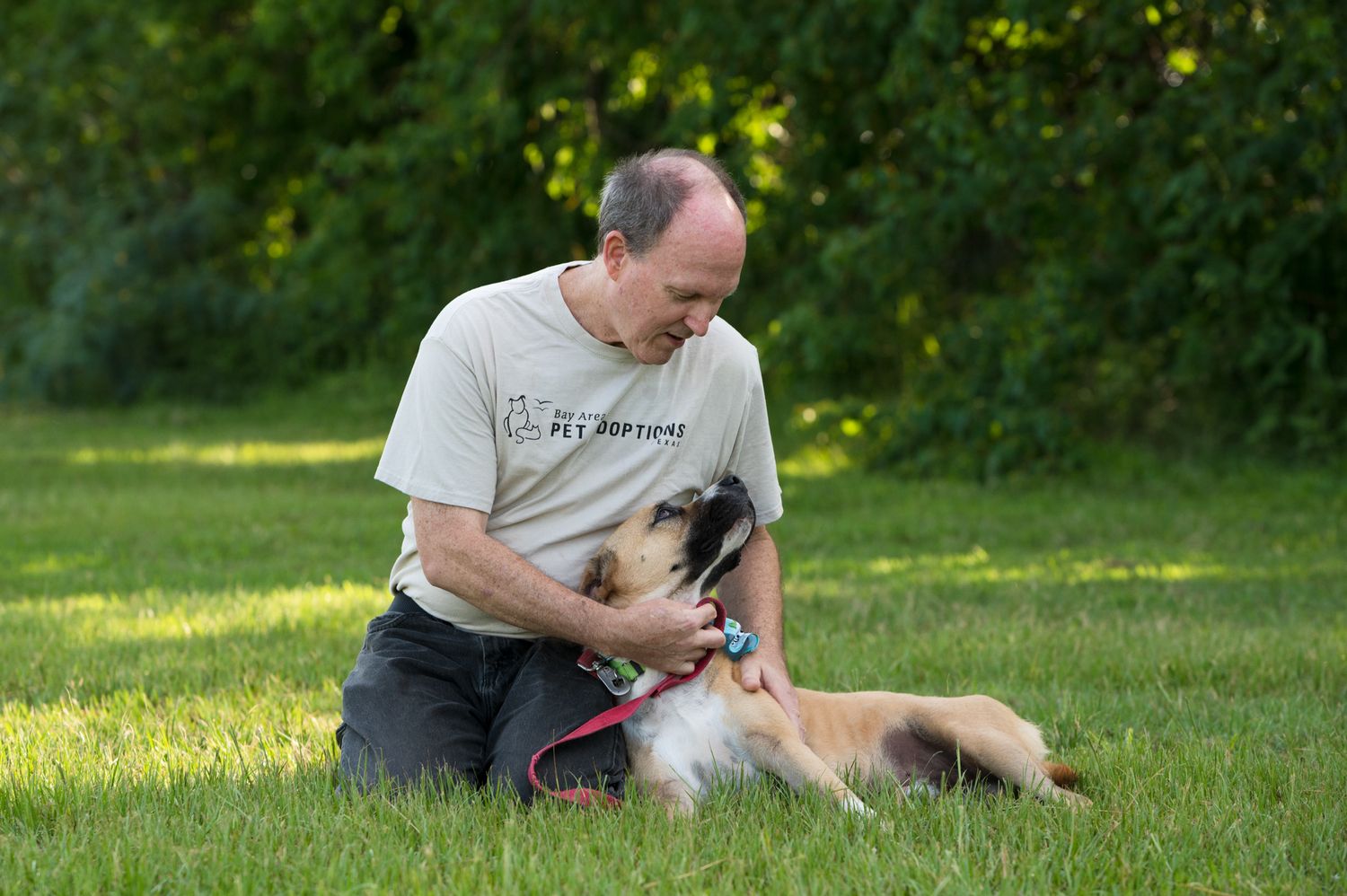 A Houston dog rescuer and German Shepherd dog play together on green grass in a backyard setting.