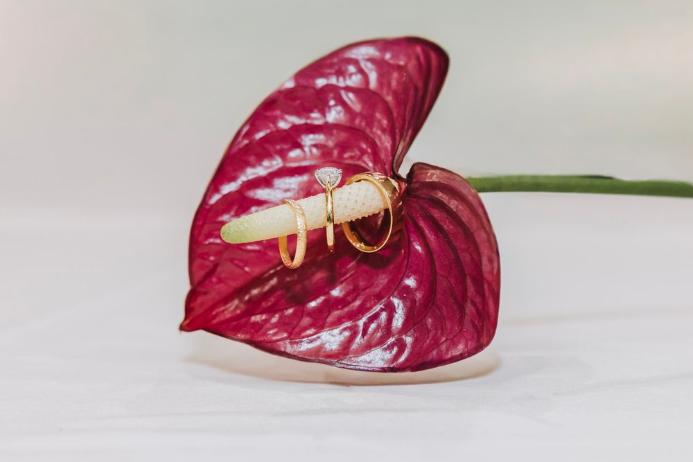 Details shot of gold wedding and engagement rings with diamond placed arranged on an anthurium flower