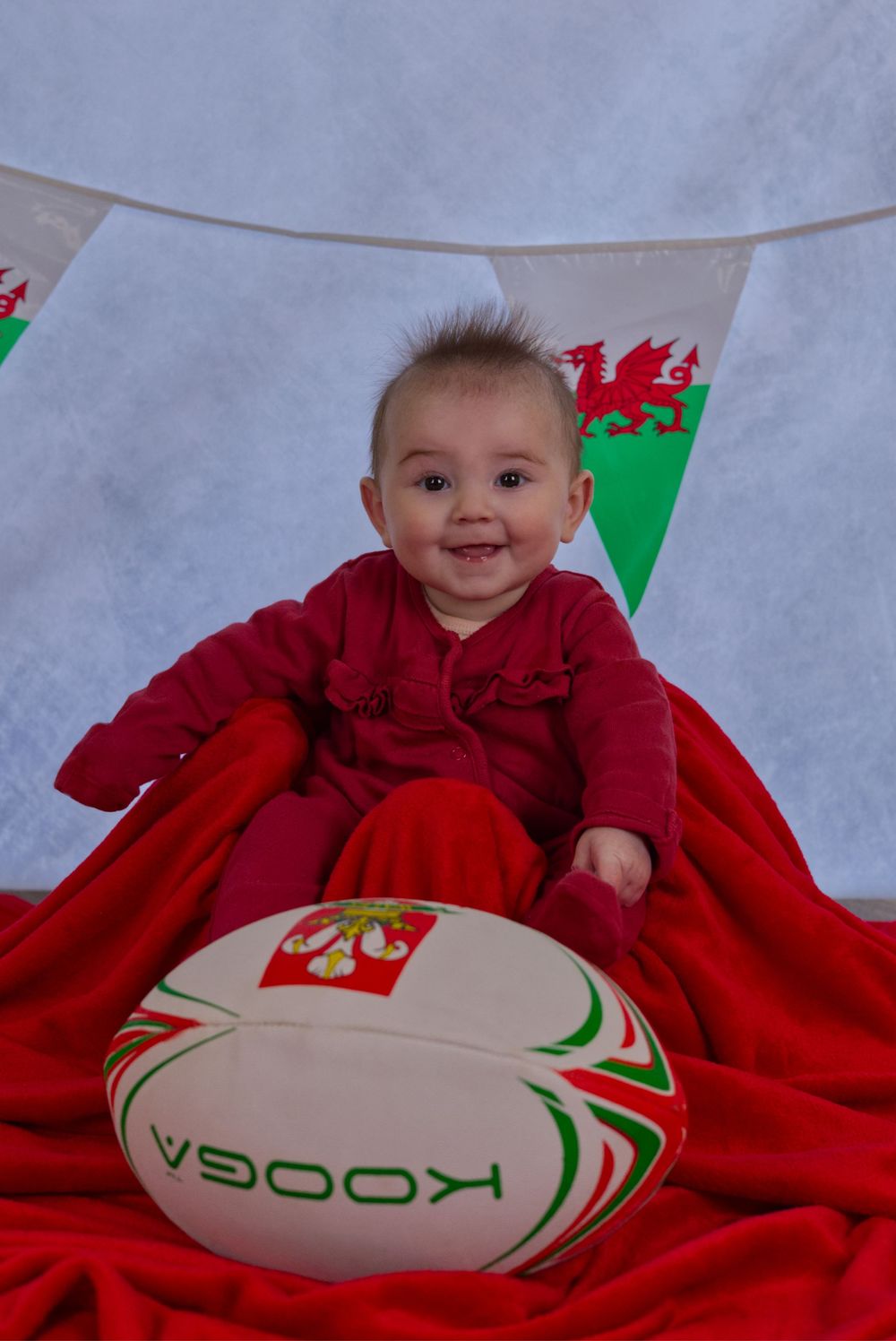 St Davids Day