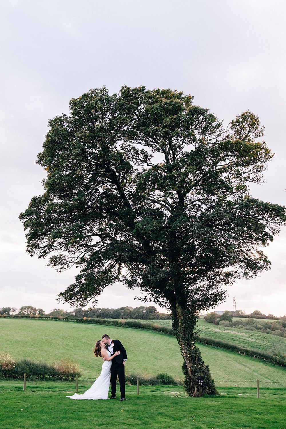 A romantic wedding couple poses in a series of four photos under a majestic tree in a green countryside setting.