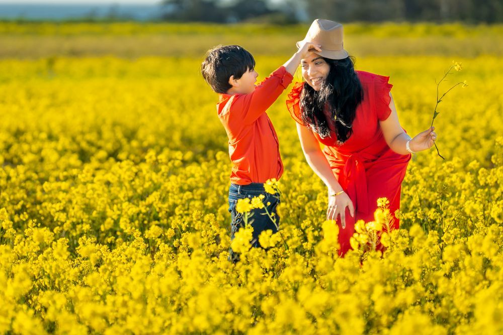 People joyfully interacting in a bright yellow flowering canola field under blue skies.