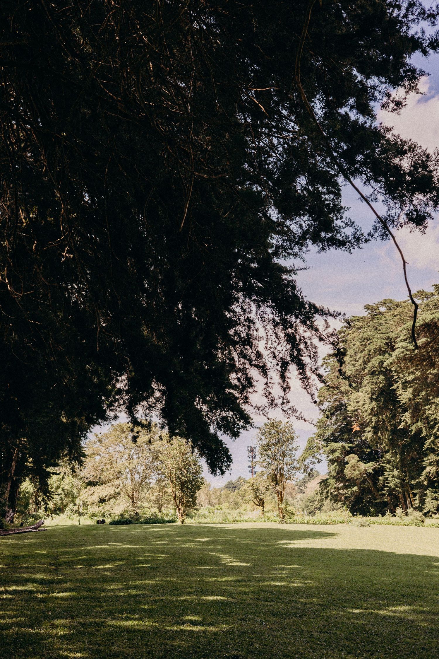 Scenic panoramic view of a lush green golf course fairway bordered by tall trees casting shadows in sunlight.