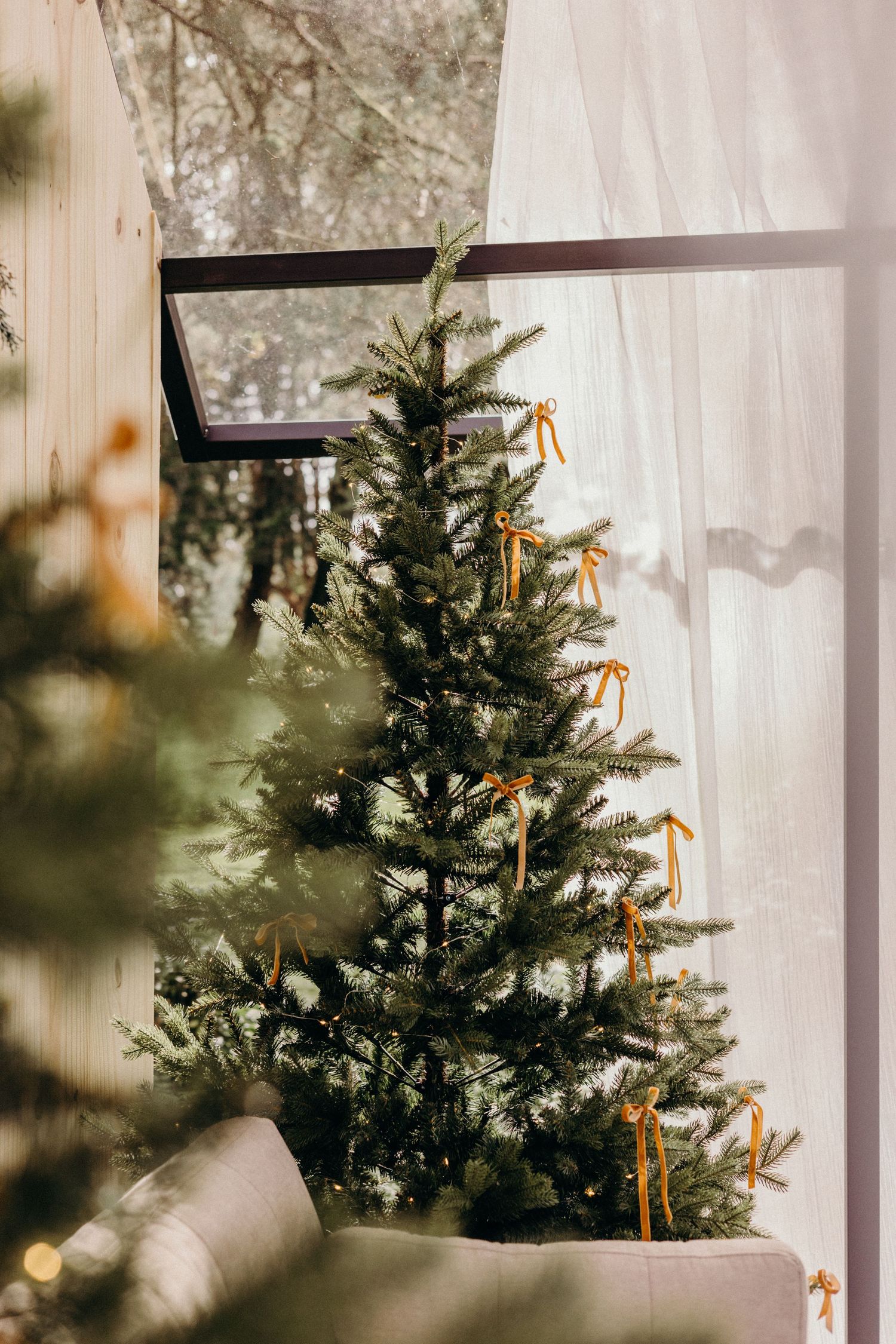 A minimalist Christmas tree decorated with gold ribbons stands against a white wall in soft natural light.