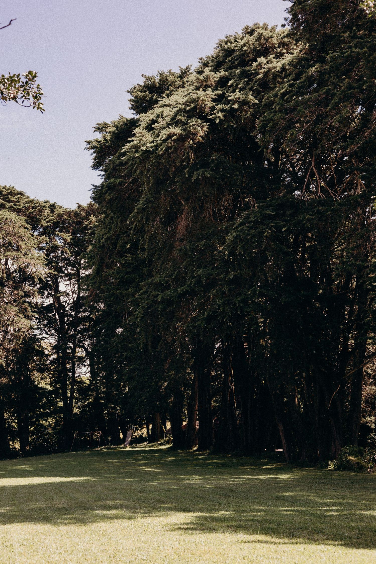 Spacious grassy lawn area surrounded by mature trees in a park-like setting.