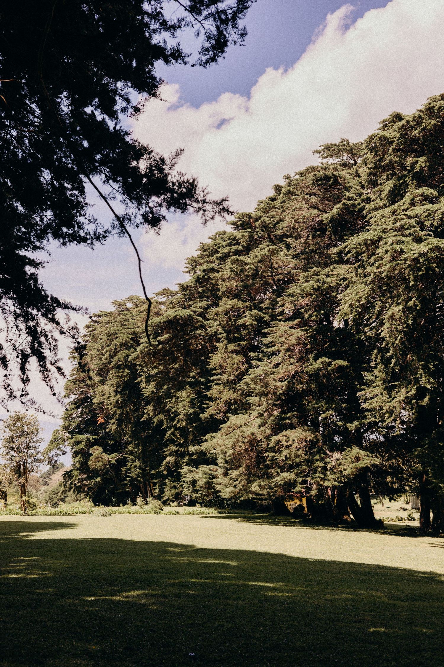 Panoramic sequence of a peaceful golf course fairway lined with mature trees on a sunny day with blue skies.