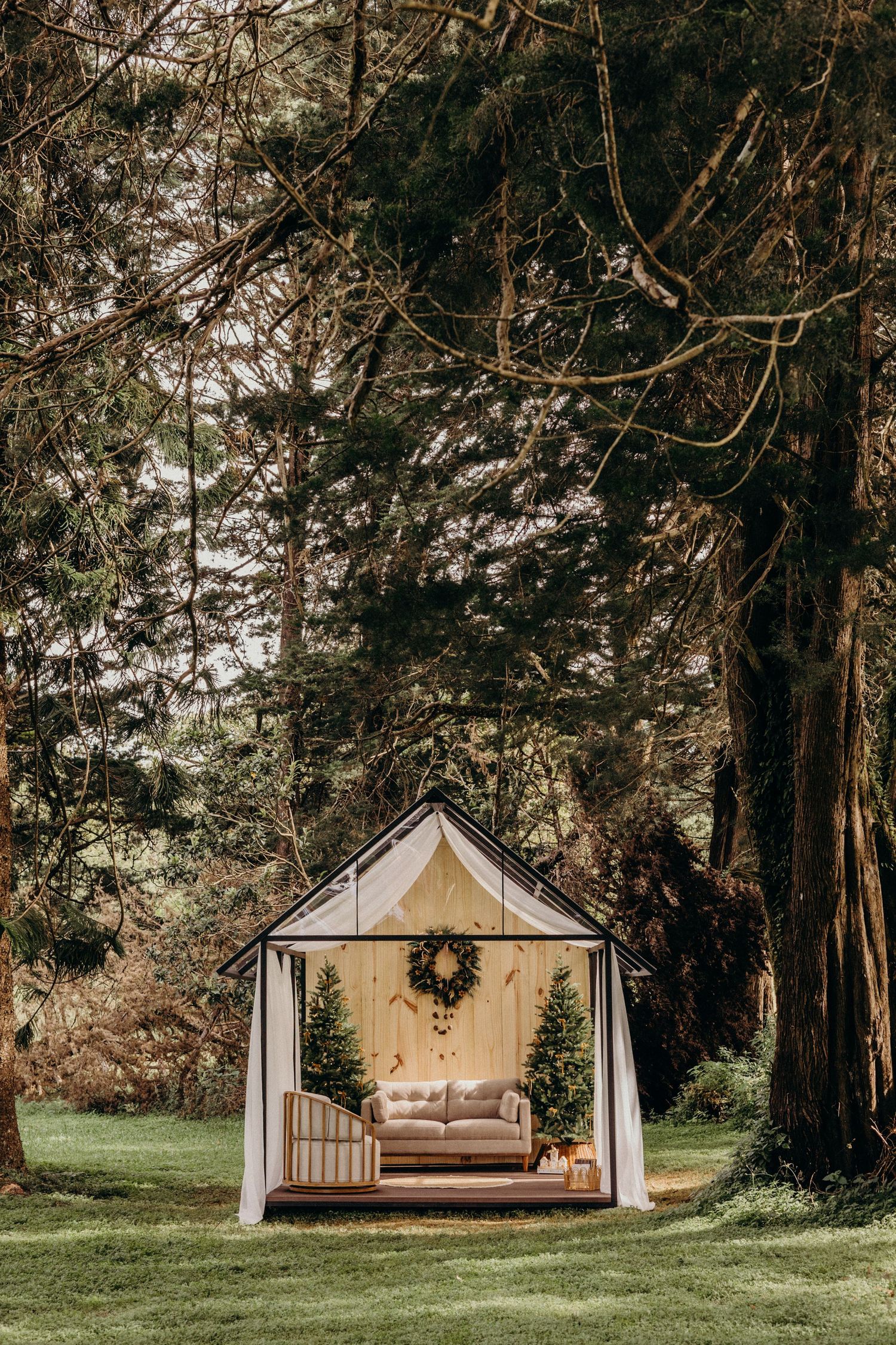 Rustic wooden swing bed with cushions nestled among tall trees in a serene outdoor garden setting.
