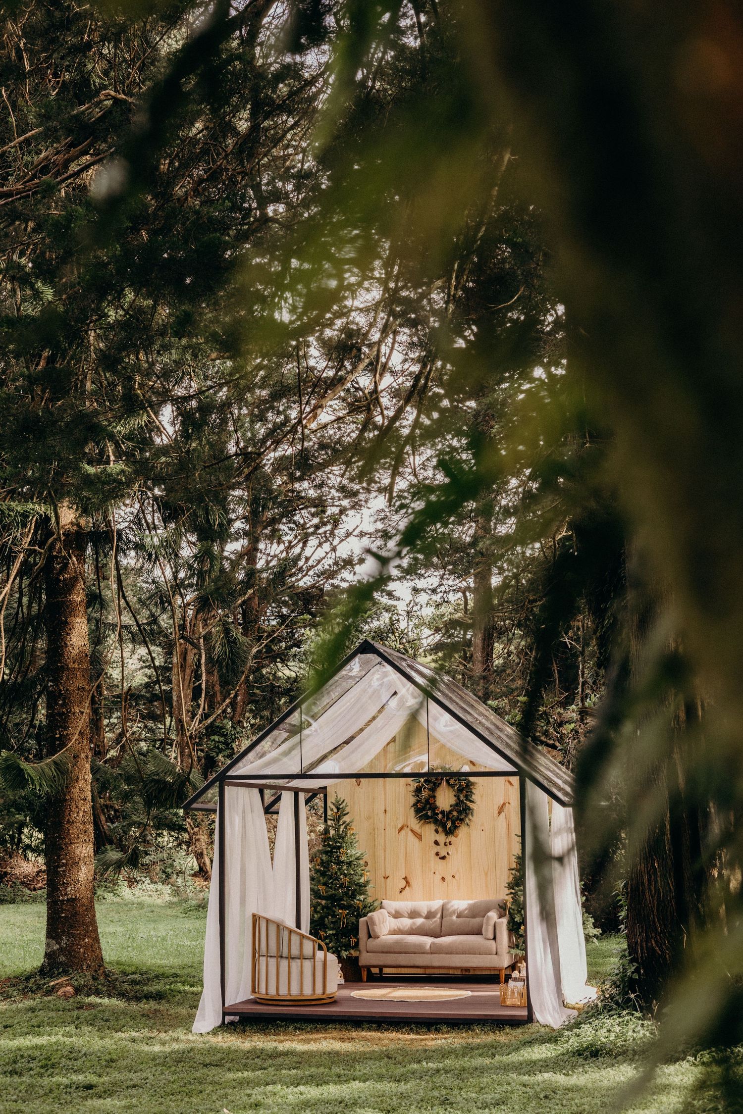 A row of rustic glamping tents with cozy outdoor seating areas nestled among tall pine trees in a peaceful forest setting.