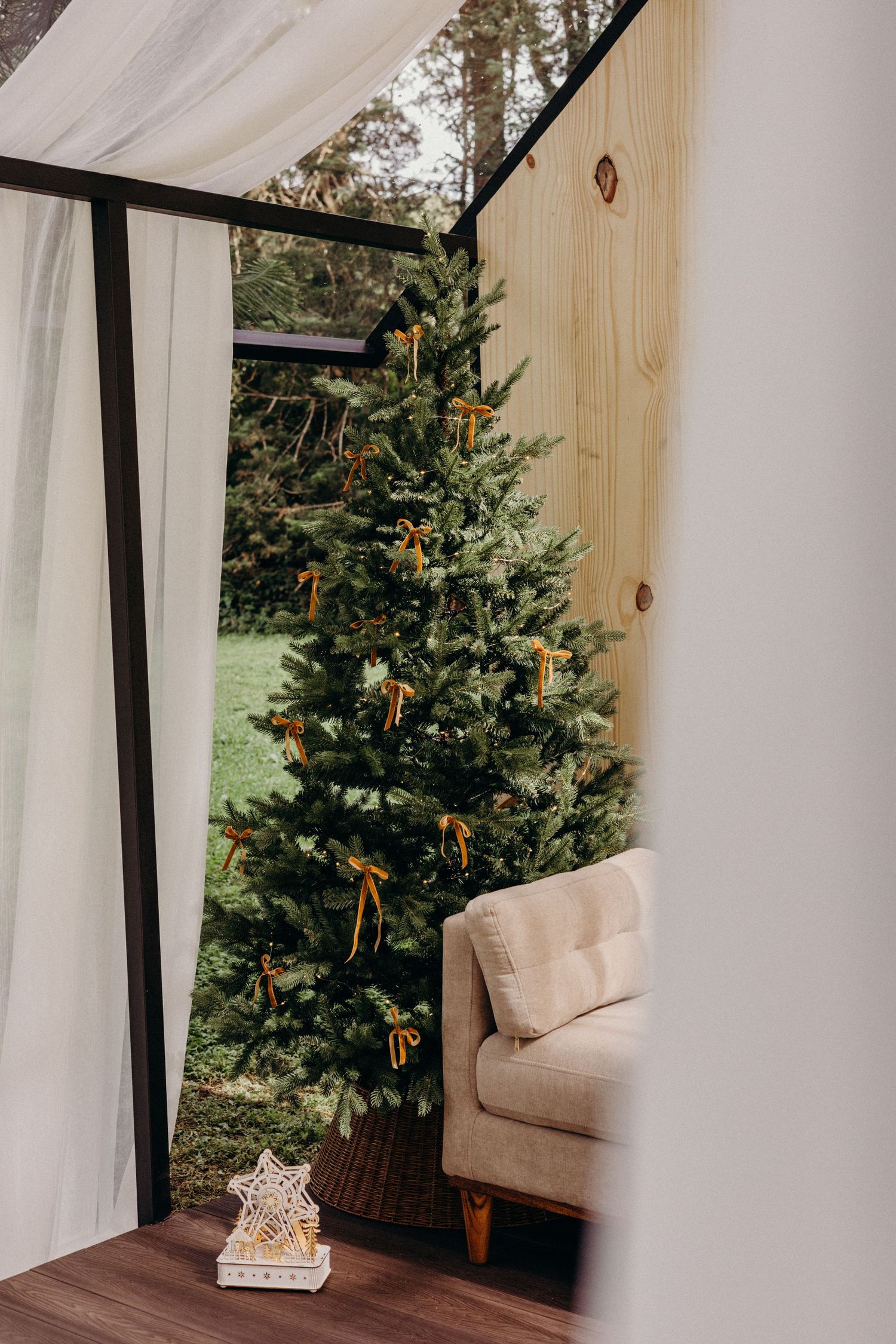 Elegant white curtains frame a view of evergreen Christmas trees decorated with gold ribbons in a cozy interior setting.