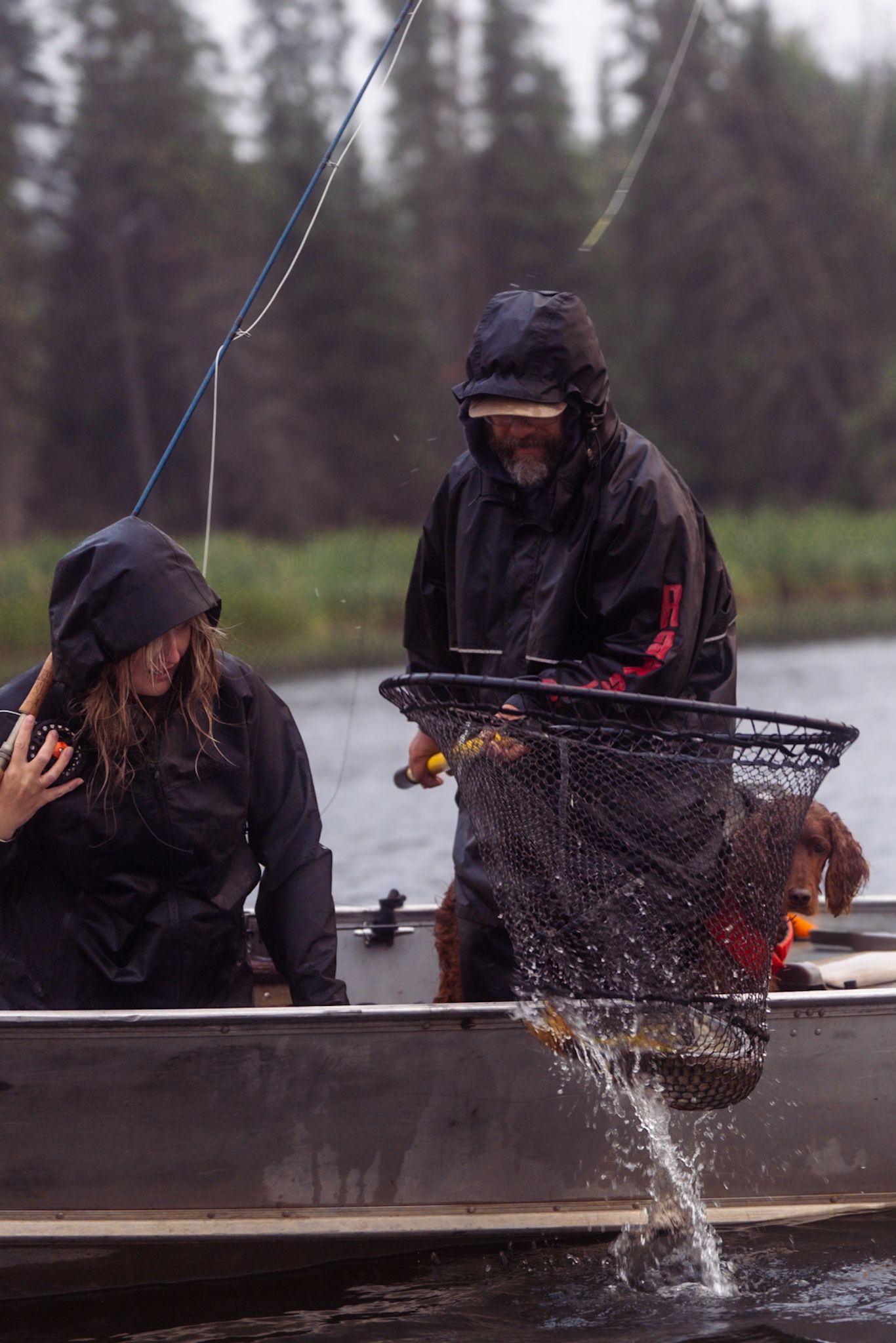 A sequence of fishing images shows a fish jumping and splashing as it's caught in a landing net on a rainy day.