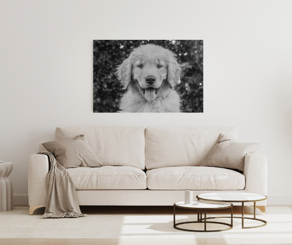 Modern living room interior with white couch, round coffee table, and black and white photo gallery wall.