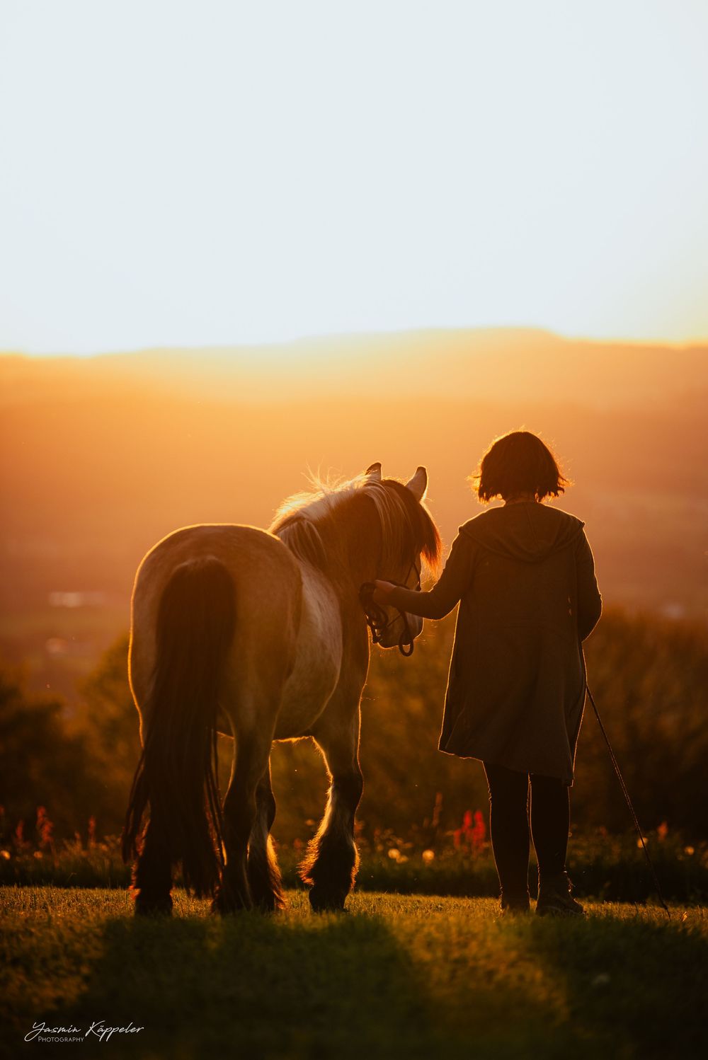 emotionale Mensch-Pferd-Verbindung in ruhiger, respektvoller Fotografie