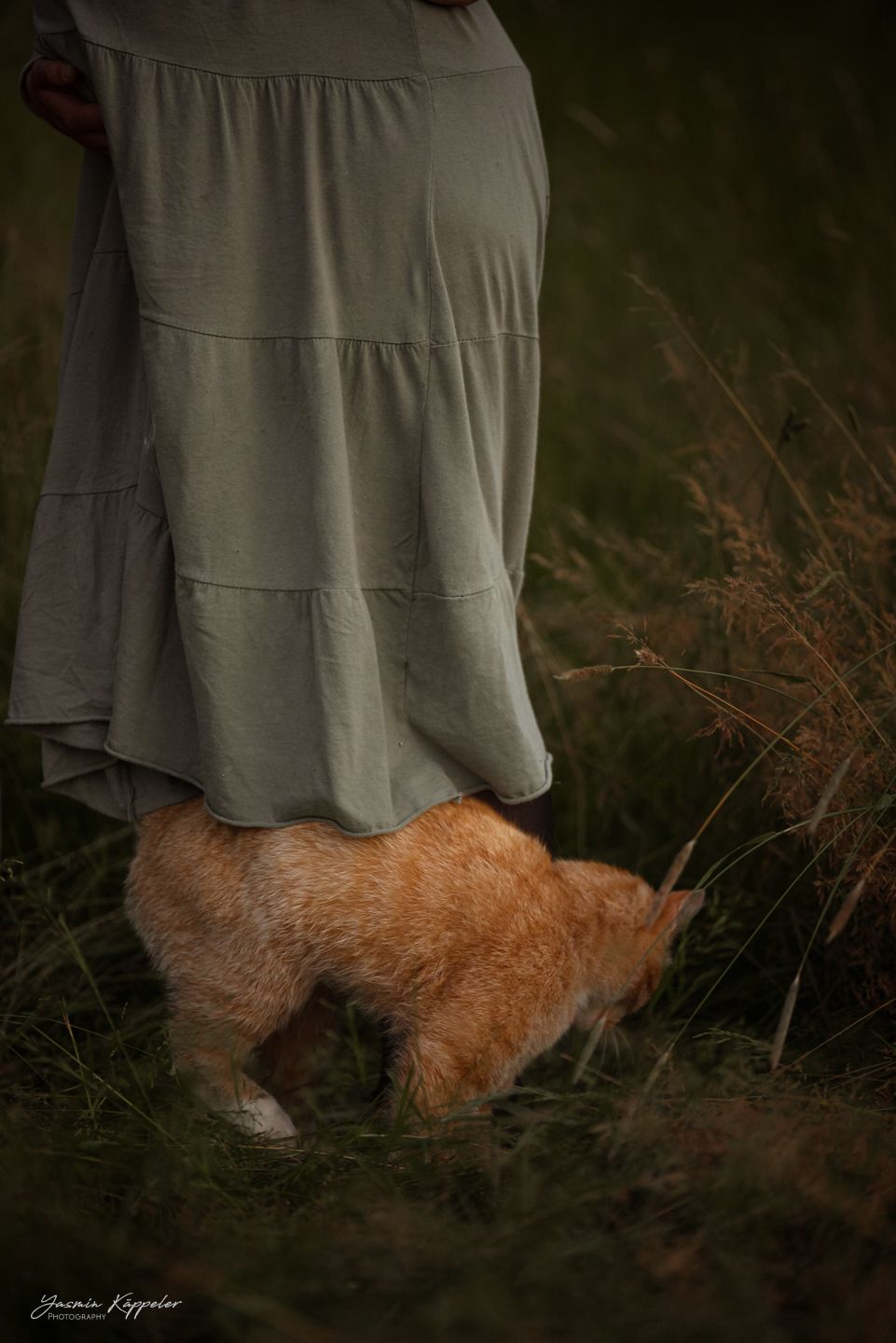 Emotionale Nahaufnahme von einer Katze wie sie einer schwangeren Frau um die Beine streicht
