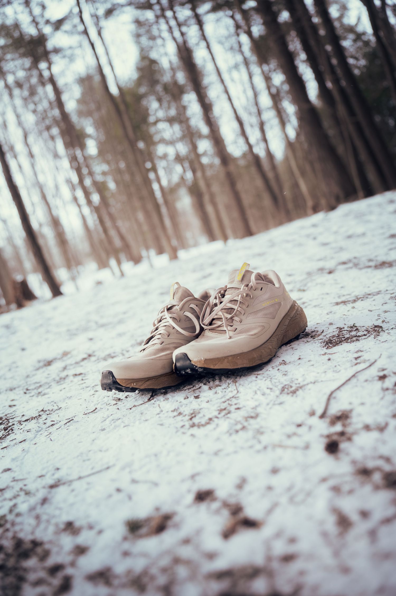 A pair of beige athletic shoes sitting on snow-covered ground in a winter forest setting.