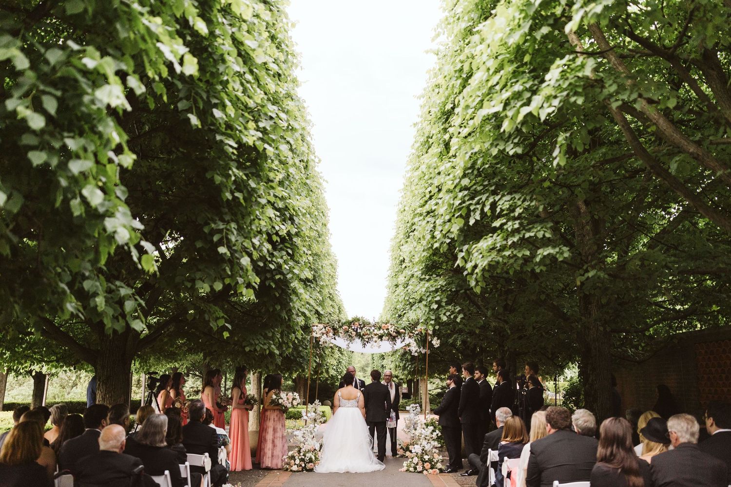 A tree-lined pathway at an outdoor wedding ceremony with guests seated on both sides.