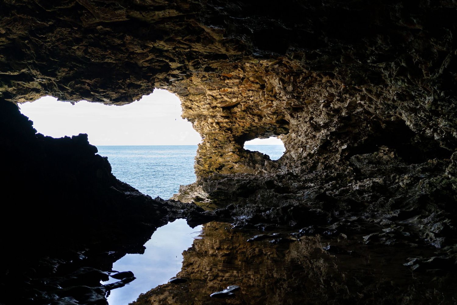 Animal Flower Cave, Barbados.