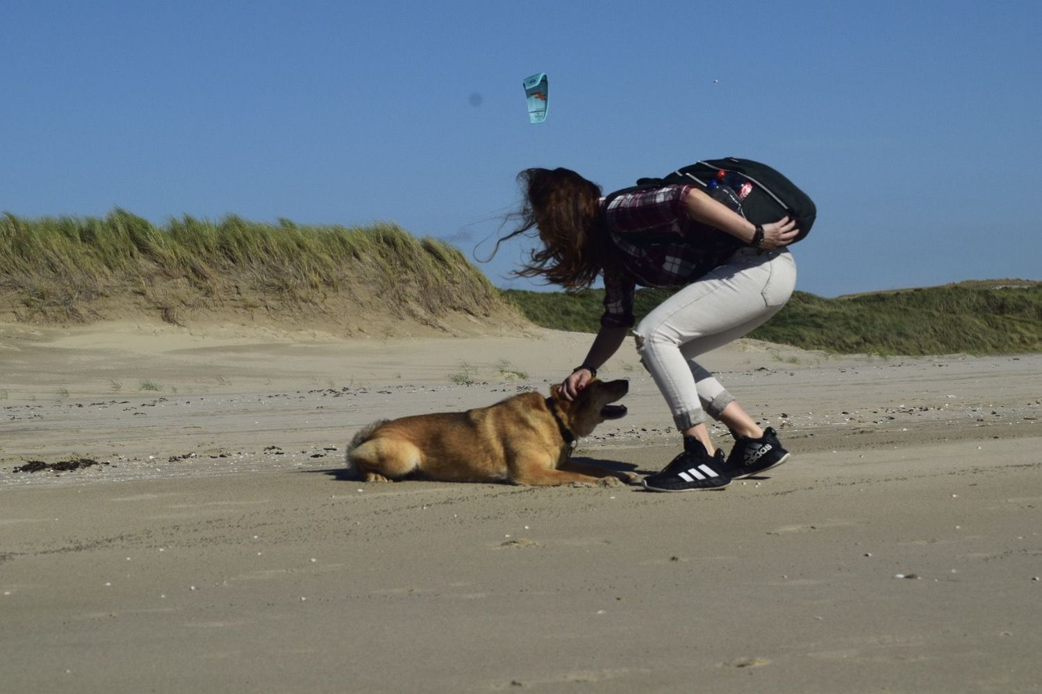 Beach portrait of a person interacting with a small dog on a sandy beach under a bright sky.