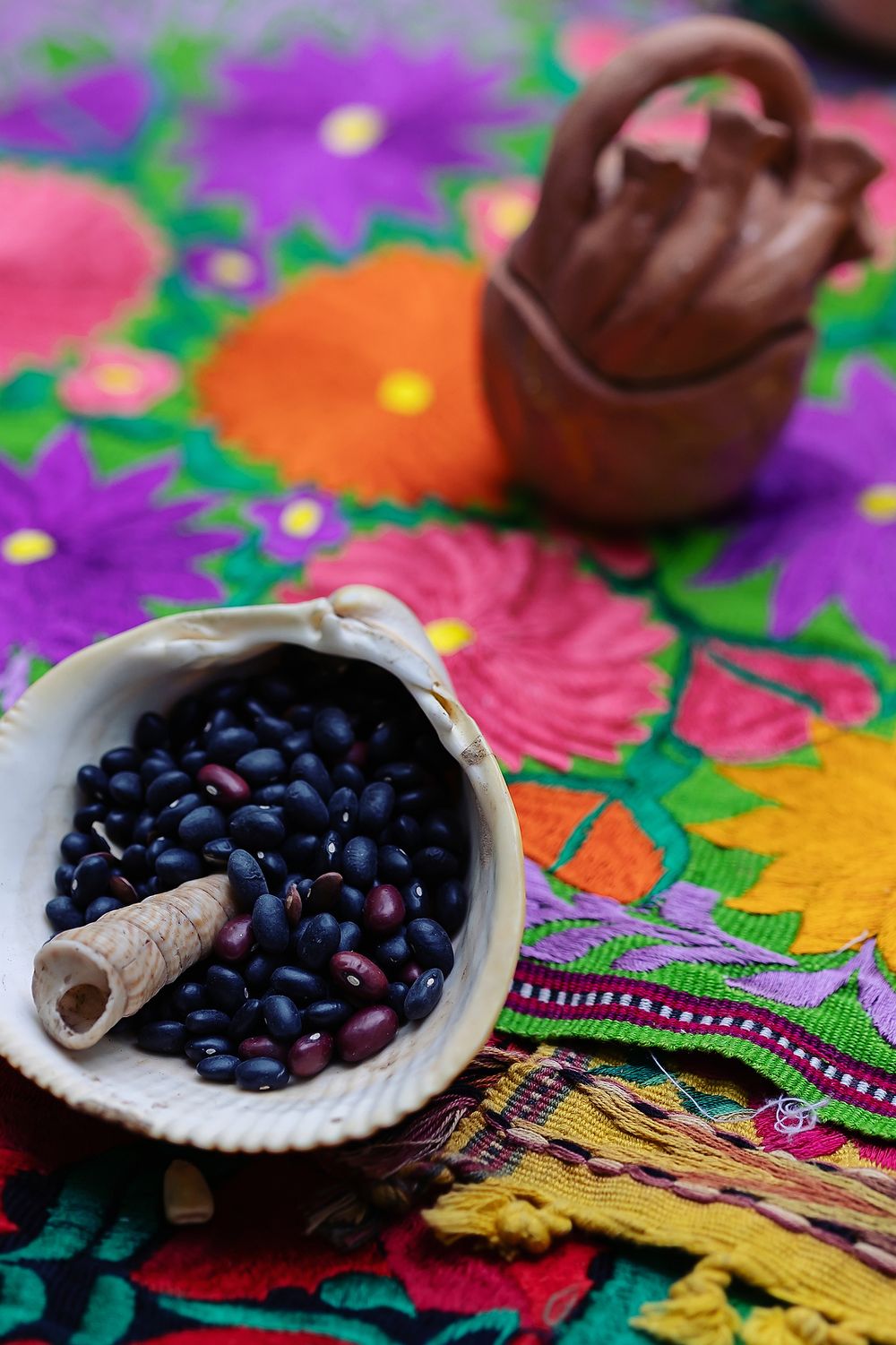 Fresh blueberries in a rustic bowl with cinnamon stick on colorful floral Mexican textile background.