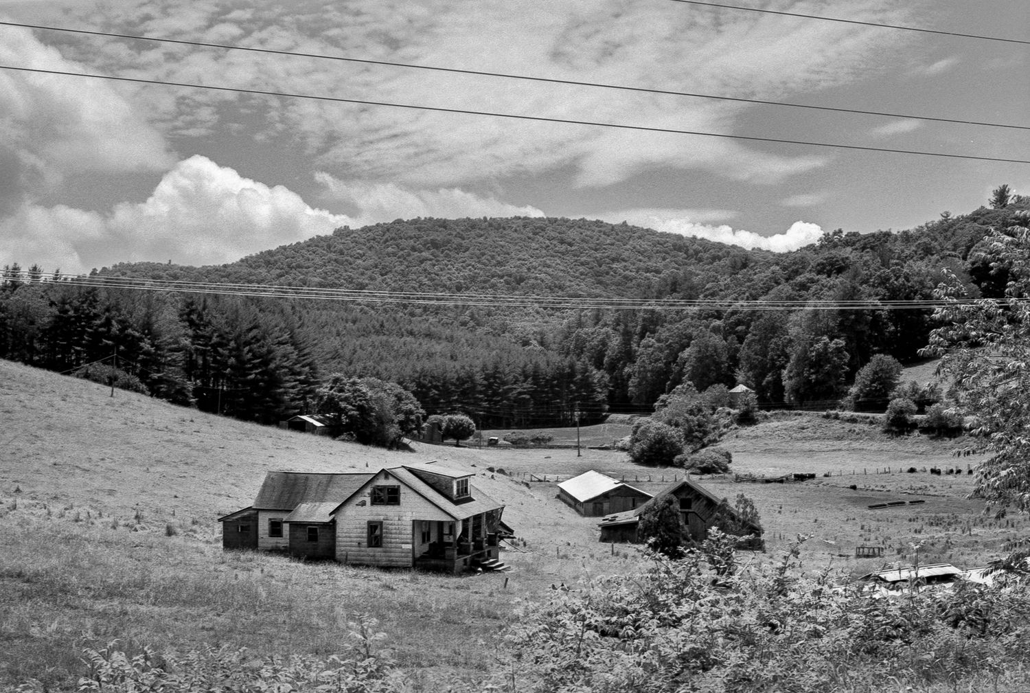 Farm