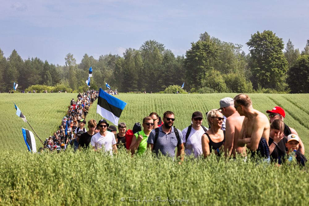 Group of festival-goers sitting in a lush green field on a sunny summer day with trees in the background.