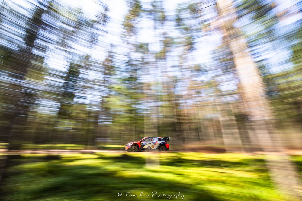 Motion-blurred forest scene with spinning camera movement creating a circular swirl effect through tall pine trees.