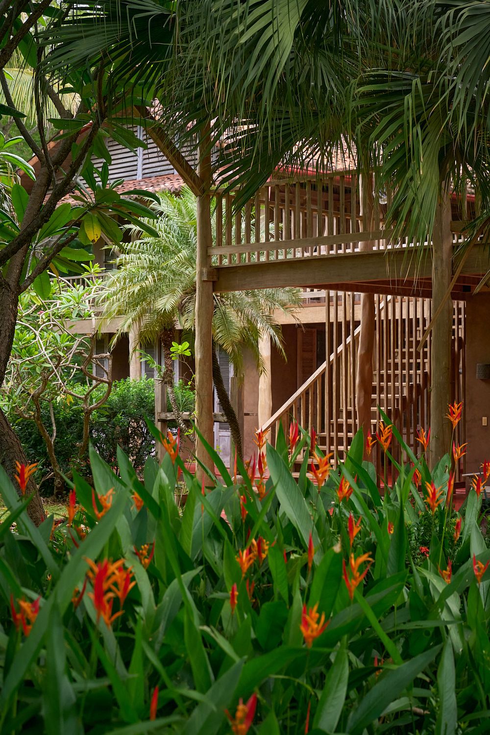 Tropical wooden deck house with spiral staircase surrounded by vibrant red heliconia flowers and lush palm fronds.