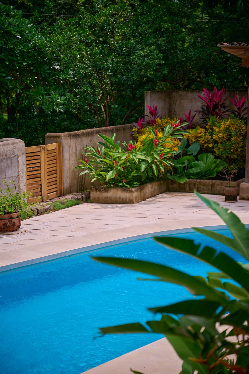 Tranquil blue swimming pool surrounded by lush tropical plants and wooden deck viewed from multiple angles.