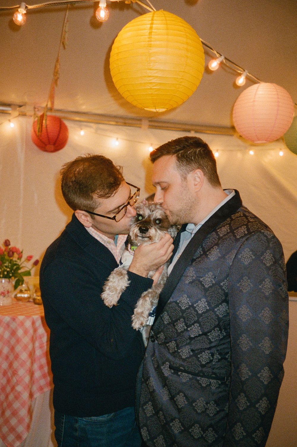 A couple shares a tender moment with their small dog under festive paper lanterns and string lights at a celebration.