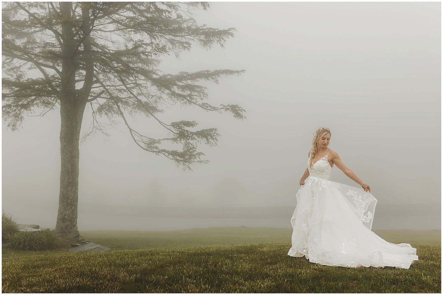 Ethereal wedding photos in misty field with lone tree in background.