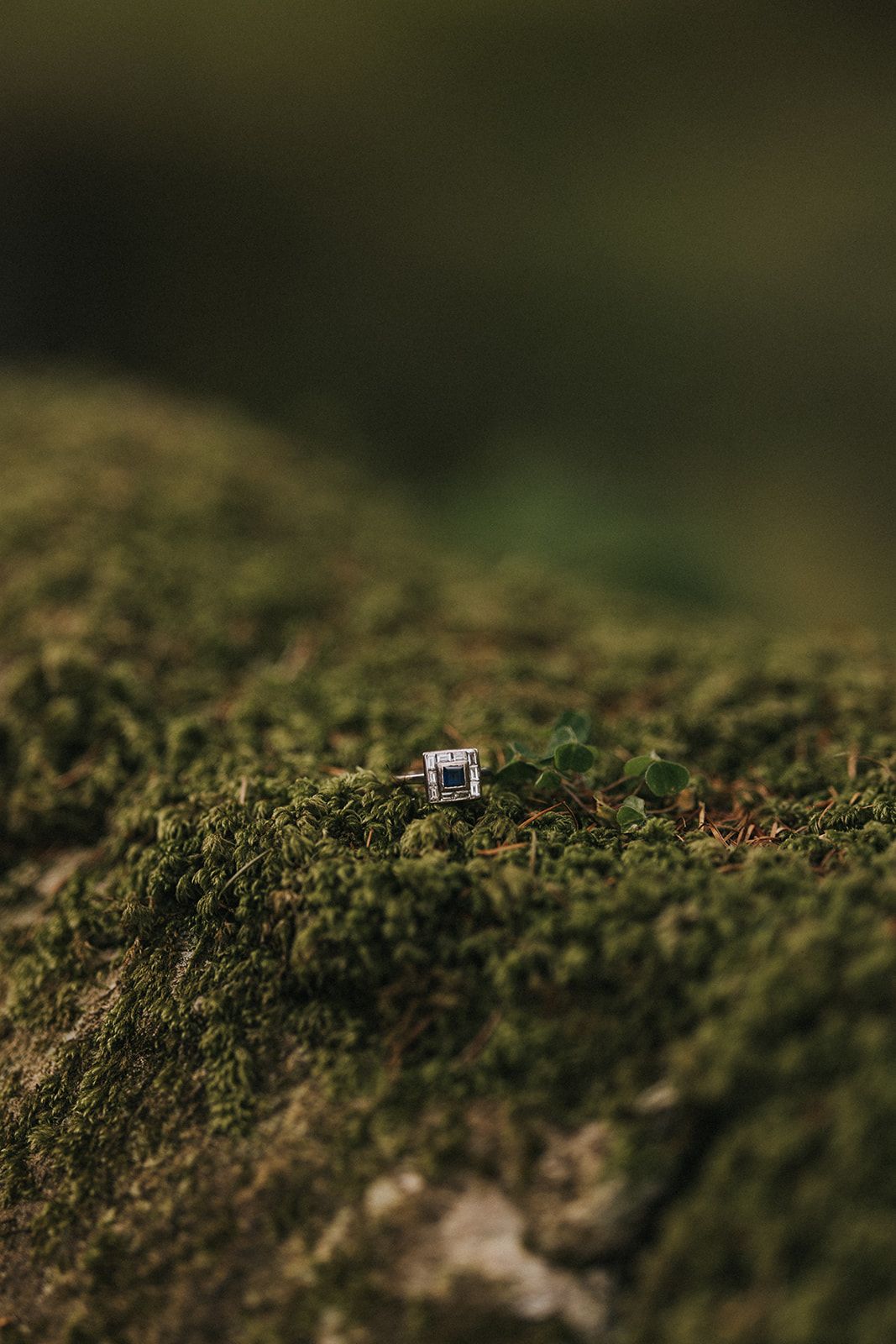 Small diamond ring nestled on mossy rock surface with shallow depth of field creating dreamy natural backdrop.