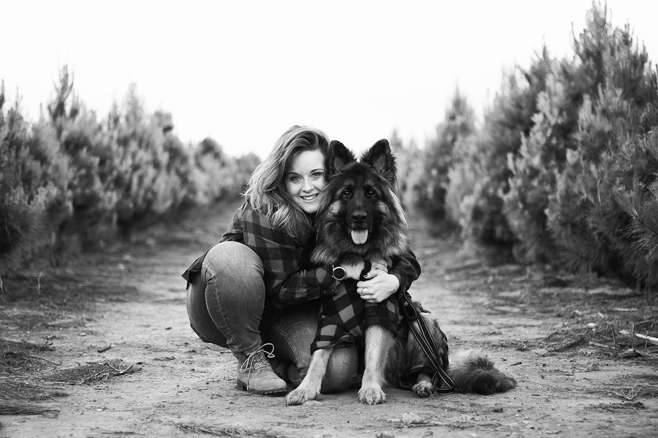 Smiling woman crouching with happy German Shepherd dog in black and white pine tree orchard.