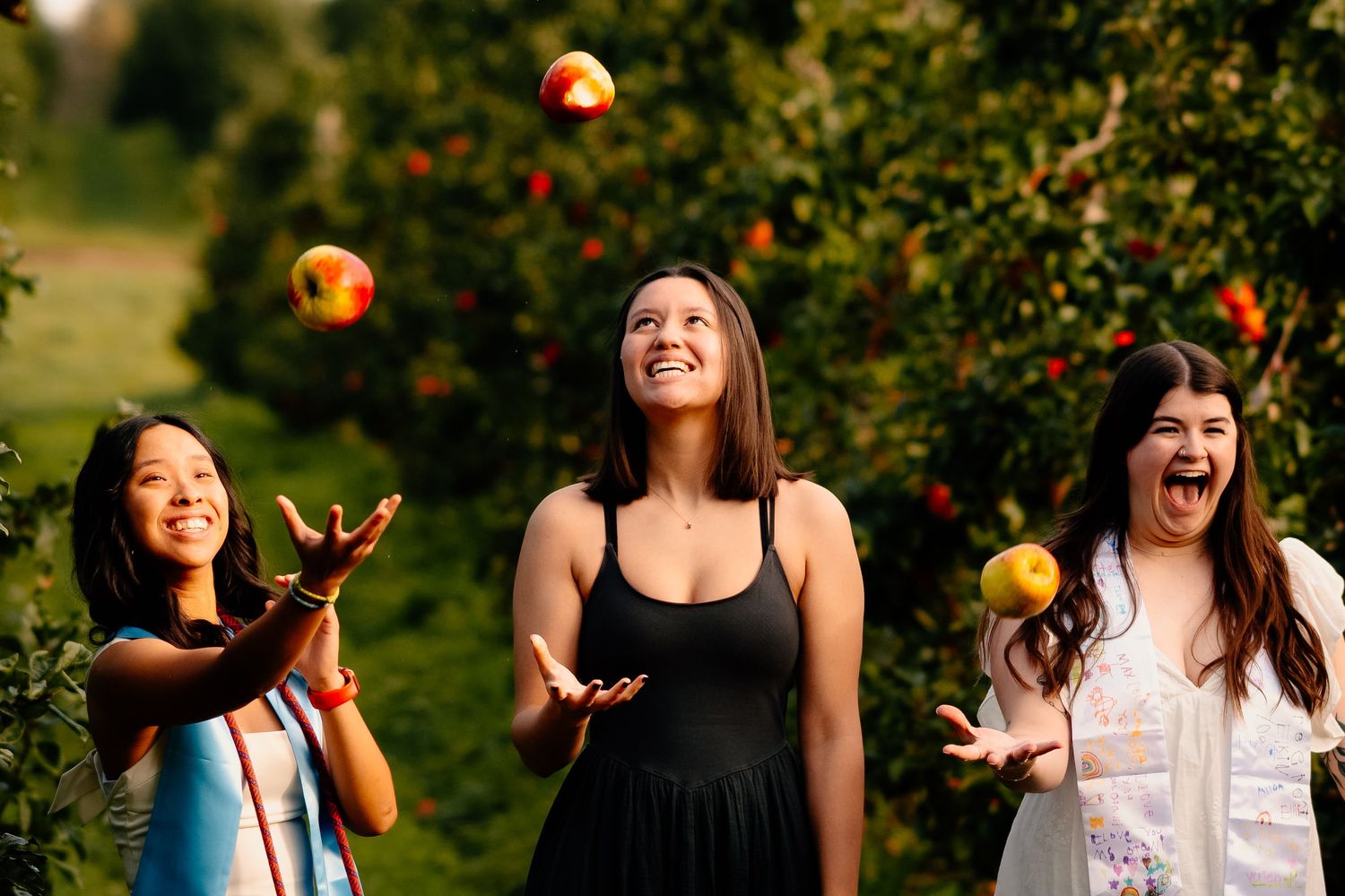 Two people walk together through a sunny apple orchard during autumn harvest season.