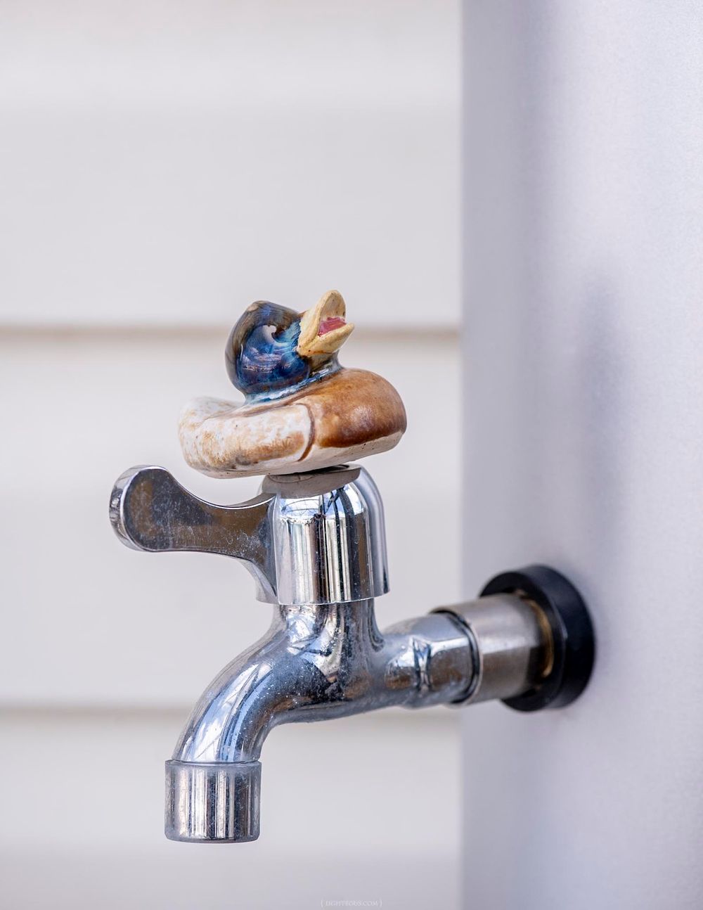 Chrome outdoor faucet with a decorative ceramic duck figurine sitting on top of the handle.