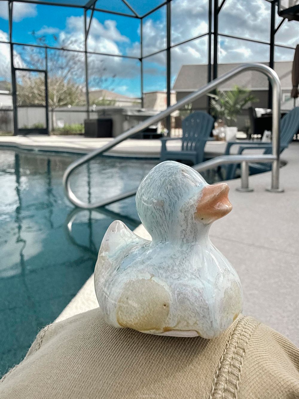 Weathered rubber duck sitting poolside near a screened-in pool on a sunny day with blue skies.