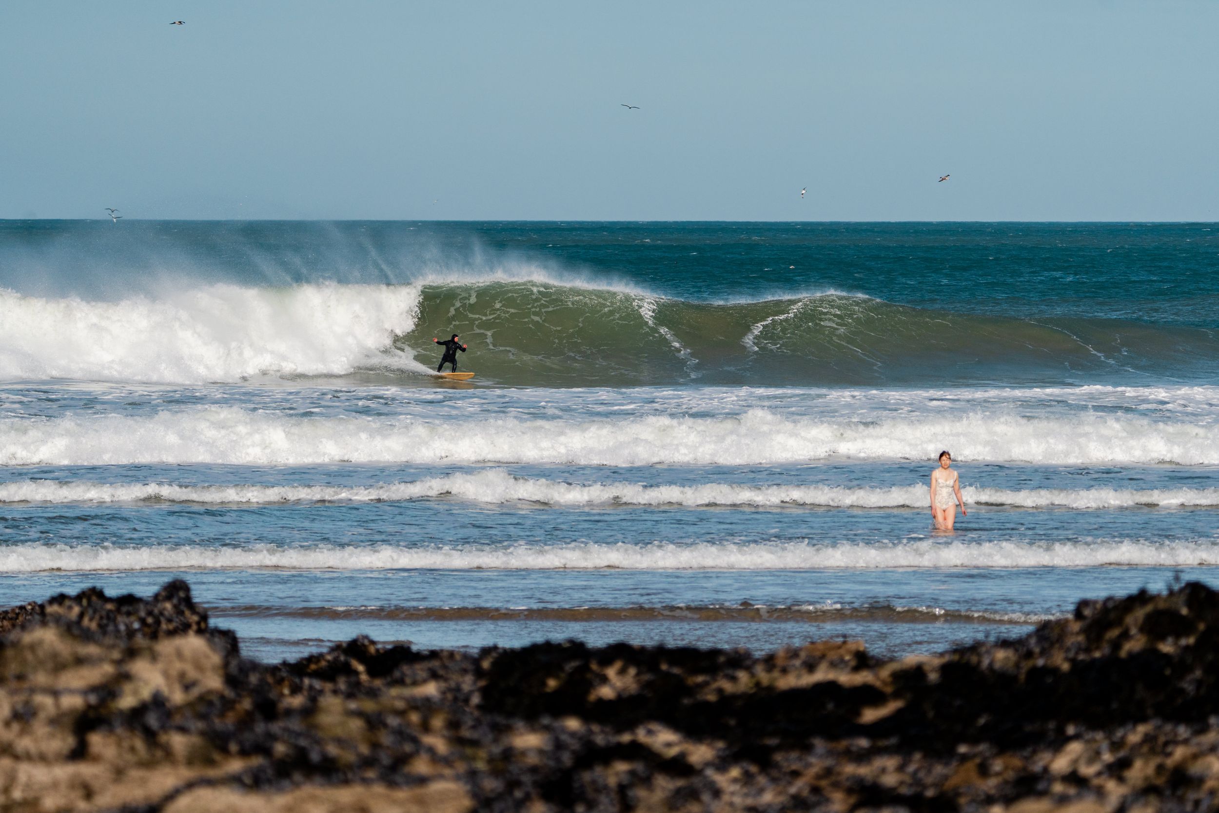 A surfer rides a wave on a turquoise ocean with rocky coastline visible in the background.