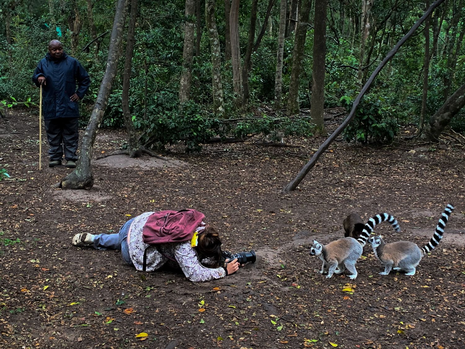 Monkeyland1