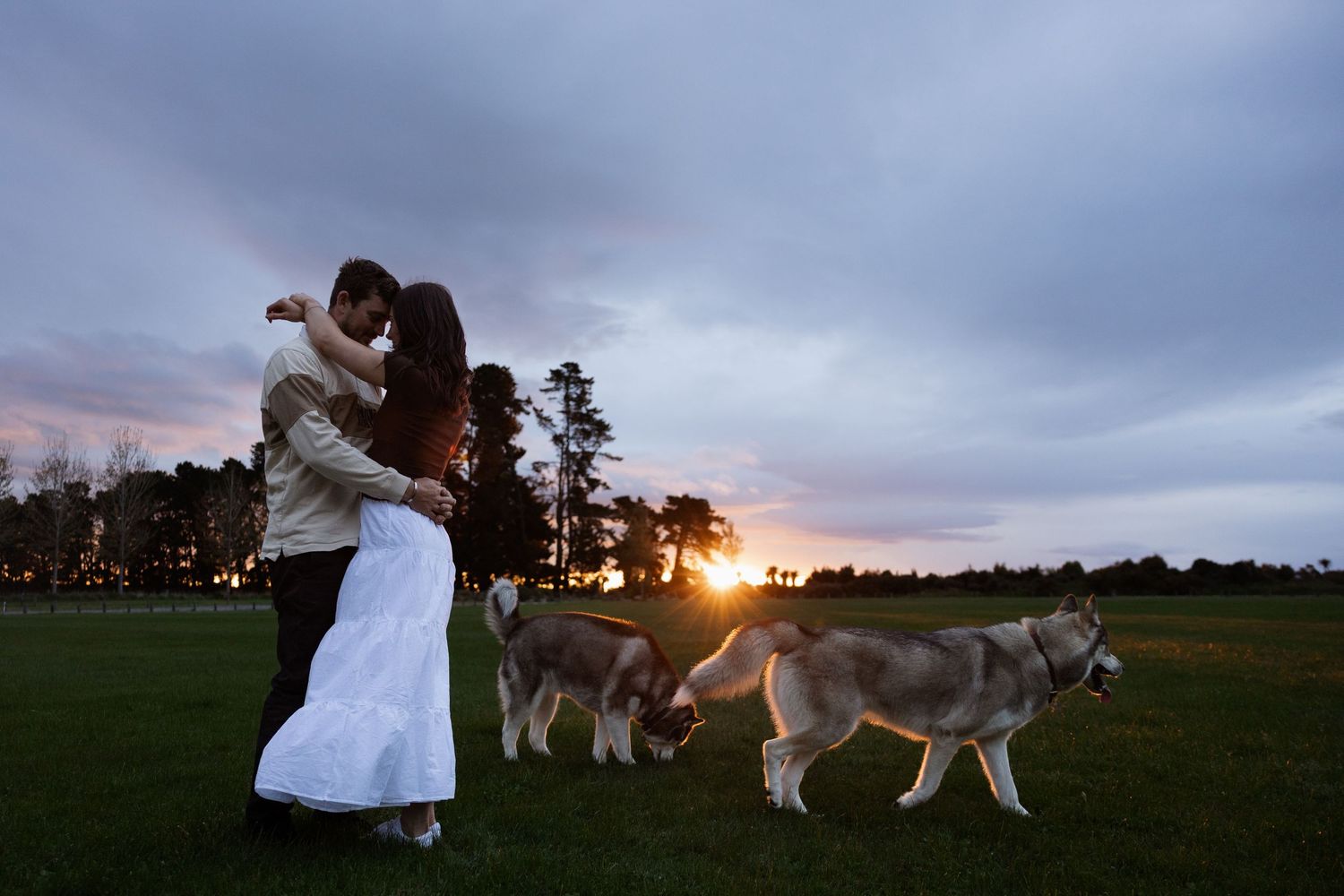 Couples session with dogs at sunset at Mcleans Island Christchurch