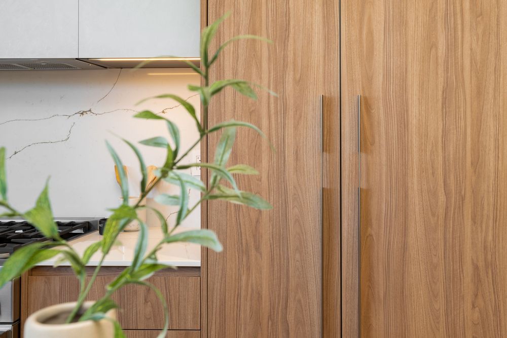 Modern wooden cabinet doors with sleek handles and a decorative green plant in the corner of a contemporary interior.